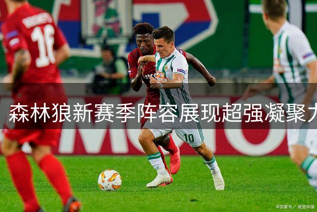 森林狼新赛季阵容展现超强凝聚力与天赋